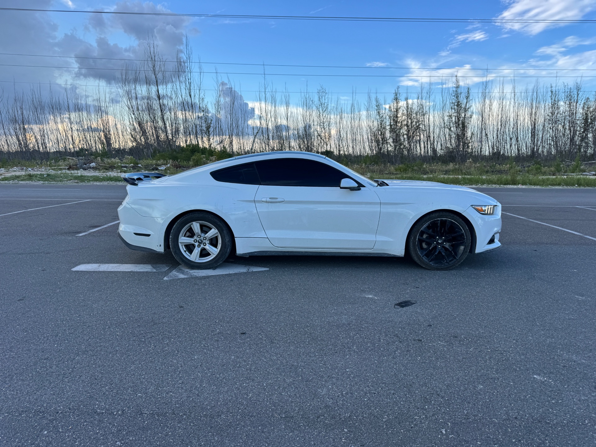 2016 FORD MUSTANG — photo 5